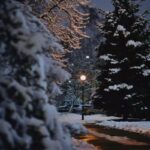 A serene winter scene featuring a snow-covered park pathway lit by a street lamp at night.