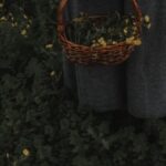 A woman holding a wicker basket of yellow wildflowers in a lush meadow.