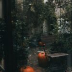 Rustic outdoor patio decorated with pumpkins, embodying a cozy autumn atmosphere.