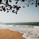 Calm beach with waves and tree branches framing the ocean view.