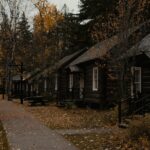 a row of log cabins in a forest